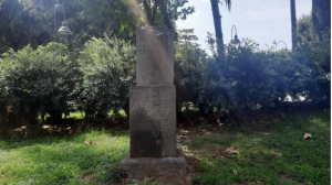 alberto iaccarino pozzuoli