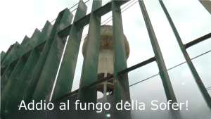 fungo sofer abbattuto a pozzuoli a che ora quando_pozzuolimania