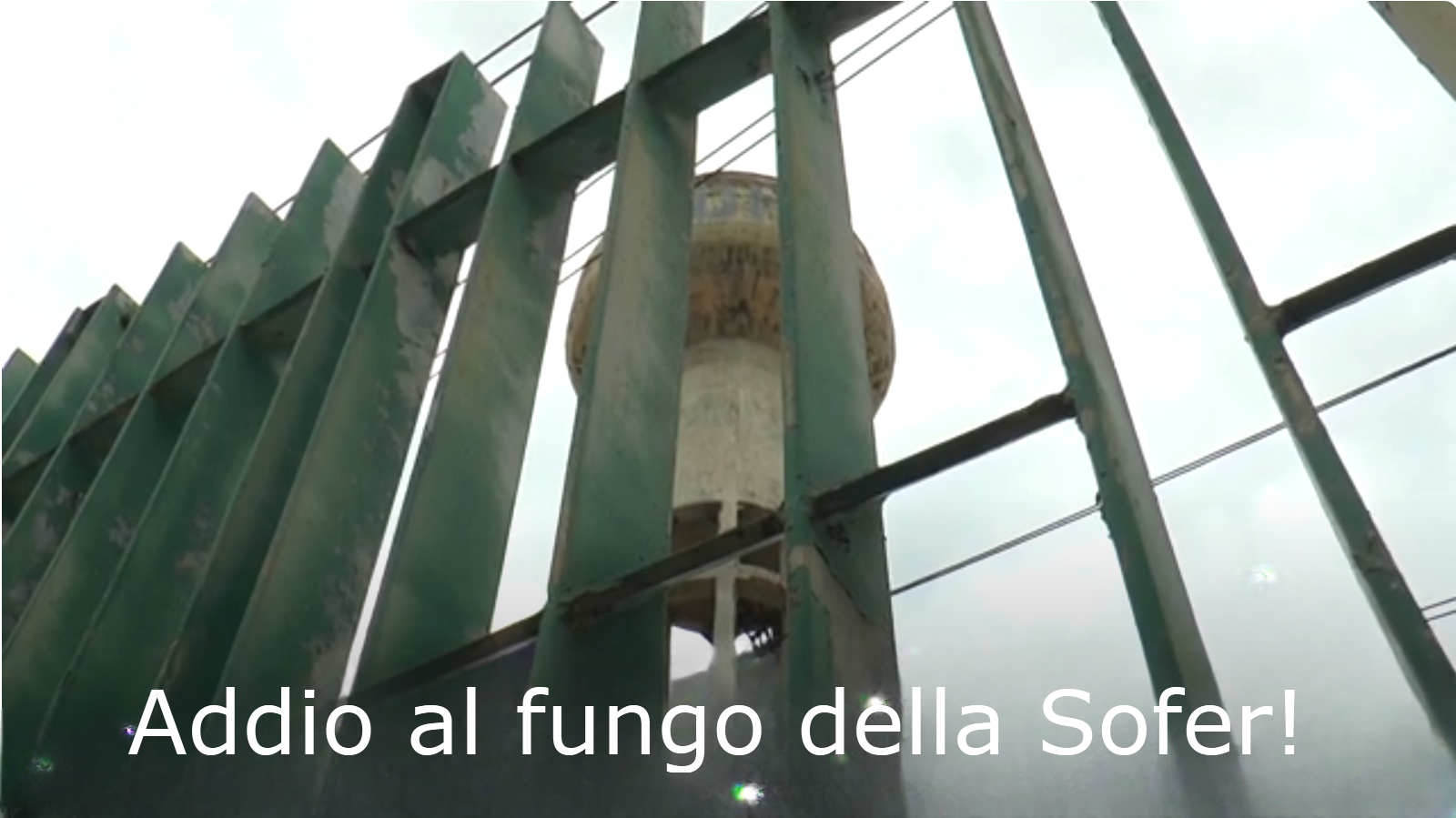 fungo sofer abbattuto a pozzuoli a che ora quando_pozzuolimania