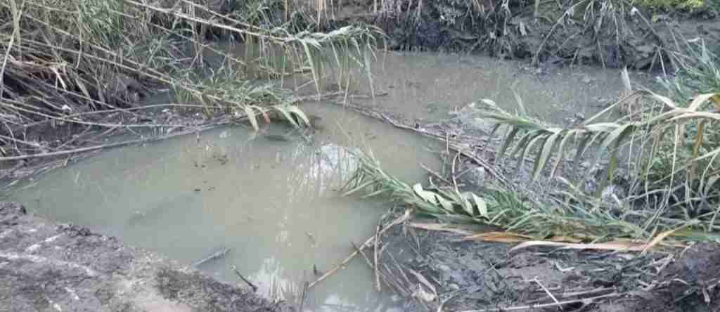 liquami in un canale a licola sos ecologico a pozzuoli